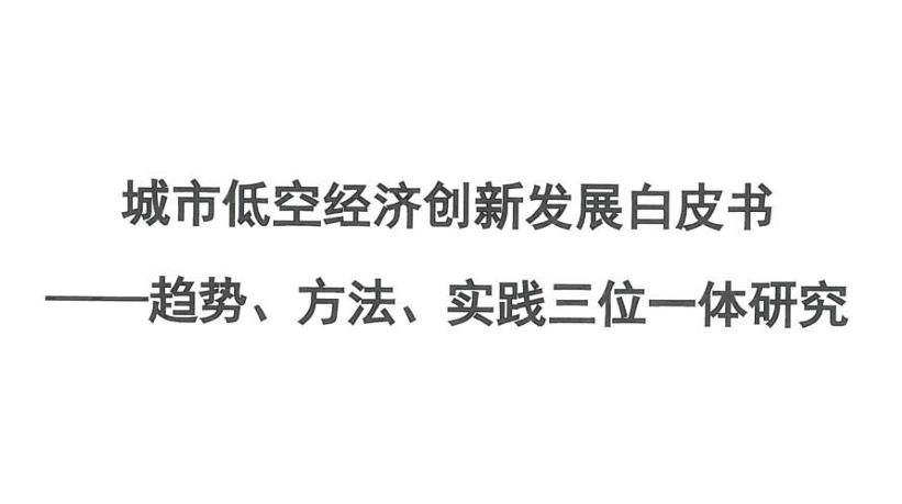 2025年城市低空经济创新发展白皮书