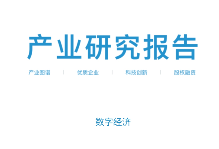 2025年数字经济研究报告