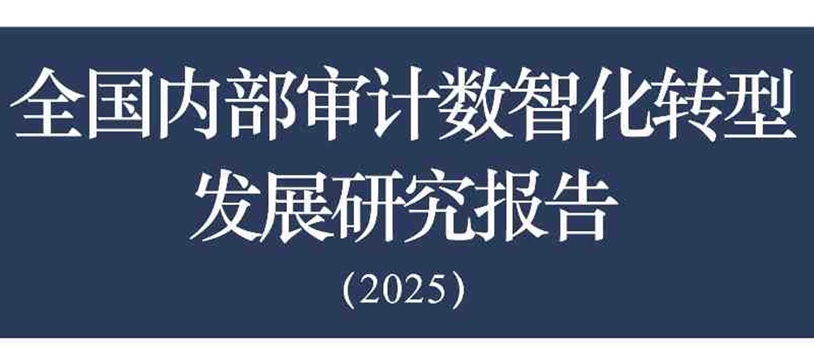 全国内部审计数智化转型发展研究报告（2025）