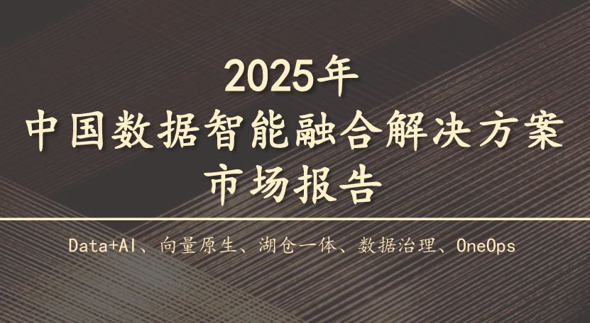2025年中国数据智能融合解决方案市场报告