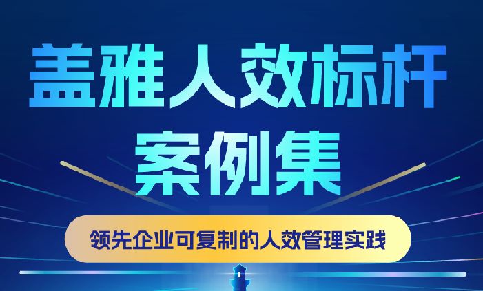 2025年人效标杆案例集
