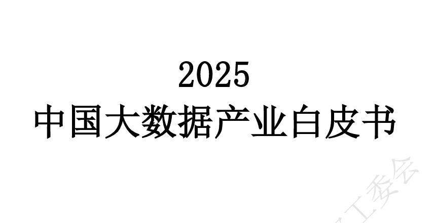 2025中国大数据产业白皮书