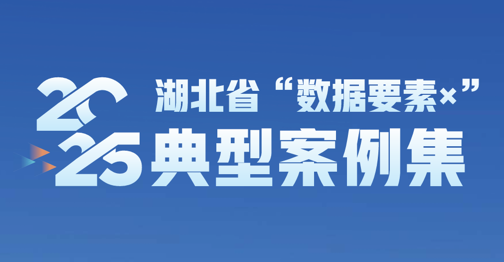 2025年湖北省“数据要素×”典型案例集