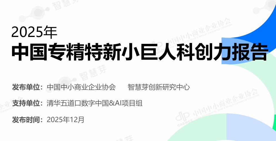 2025年中国专精特新小巨人科创力报告