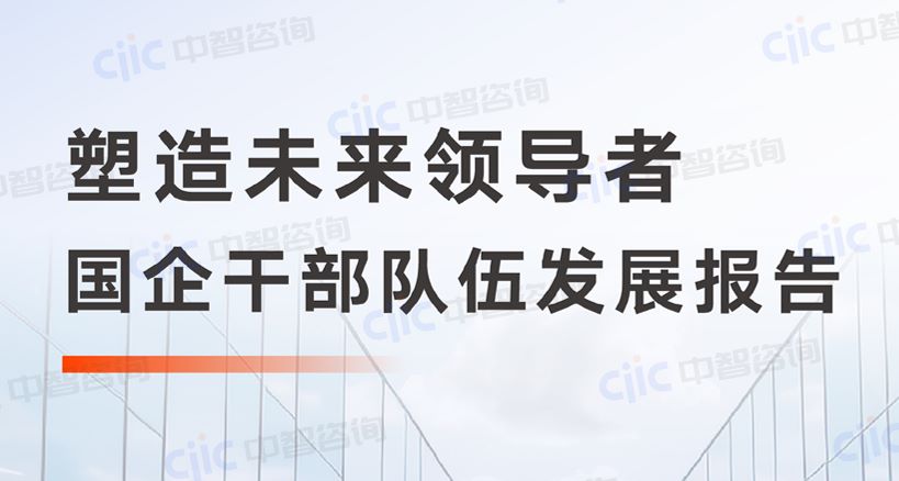 2025年塑造未来领导者-国企干部队伍发展报告
