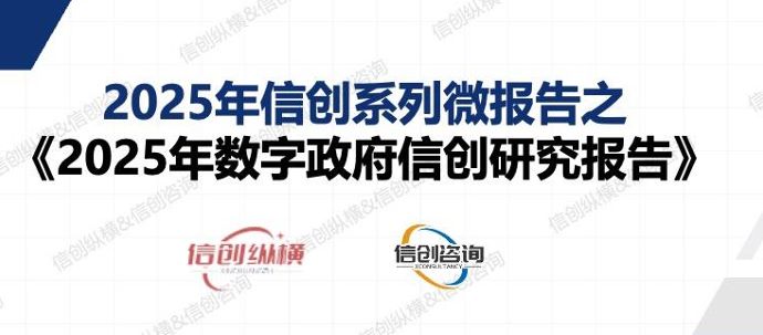 2025年数字政府信创研究报告