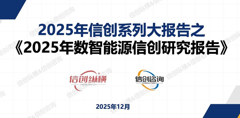 2025年数智能源信创研究报告