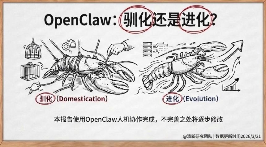 OpenClaw：驯化还是进化？