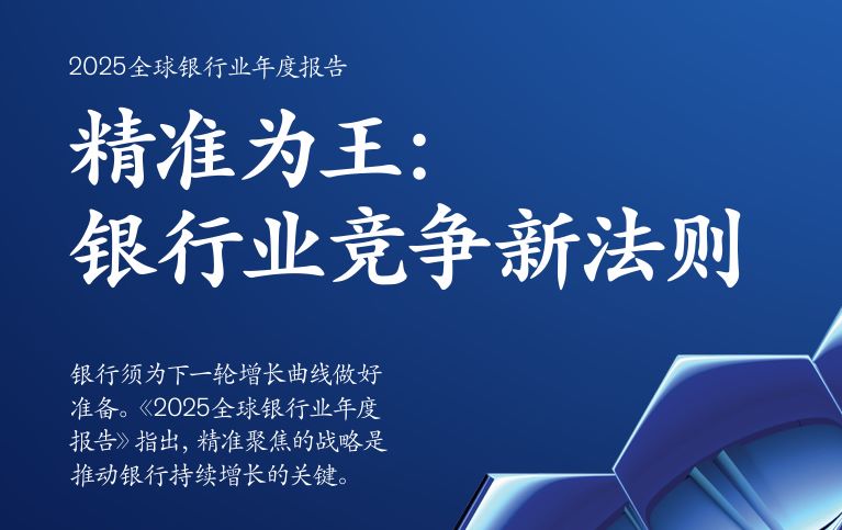 2025全球银行业年度报告