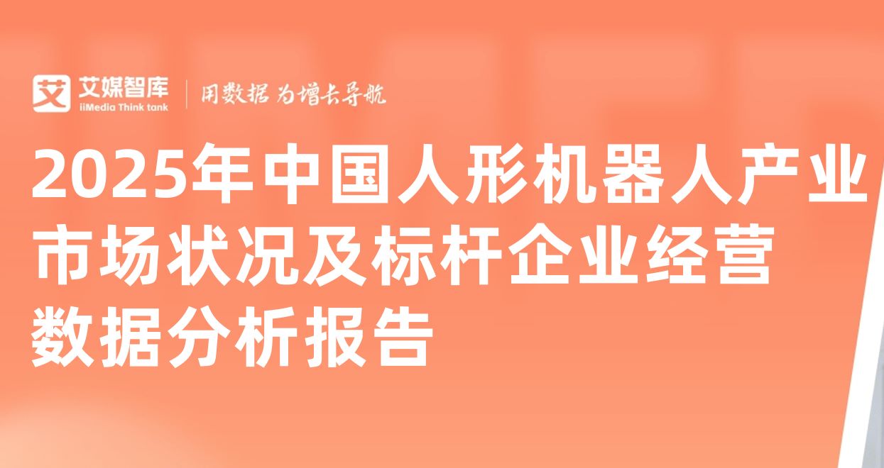 2025年中国人形机器人产业市场状况及标杆企业经营数据分析报告
