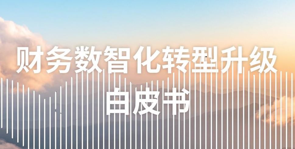 2026年财务数智化转型升级白皮书